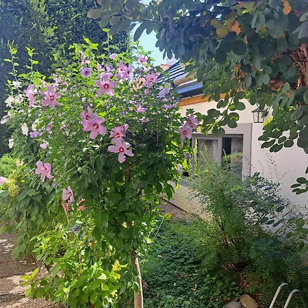 Garage 公寓 库特纳霍拉